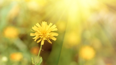 Economiser du mazout