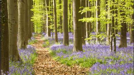 mazoutprijs Vlaams-Brabant