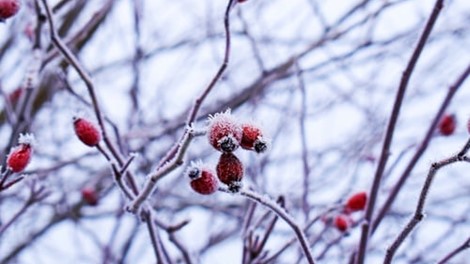 Stookoliebestelling bij dalende temperaturen