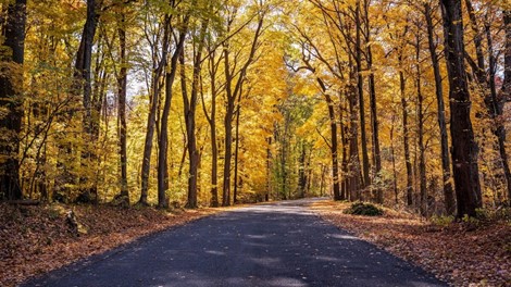 Een drukke herfst voor mazoutleveranciers