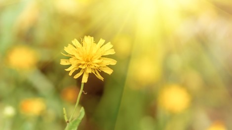 Tijdig stookolie bestellen