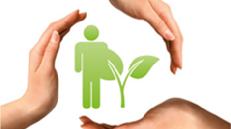 Huisbrandolie is een innovatieve energie